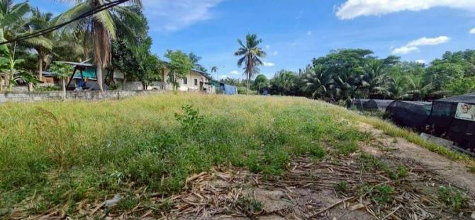 ที่ดินหนองขาม 233 ตร.ว. ศรีราชา ที่ดินหนองขาม 233 ตร.ว. ศรีราชา